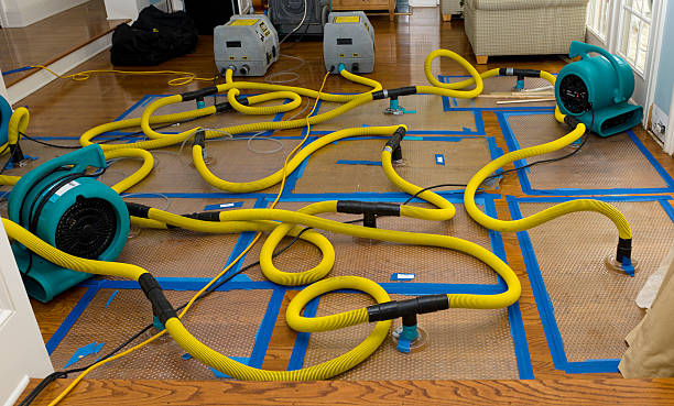 Professional Crawl Space Water Removal technician working in Glen Head, NY